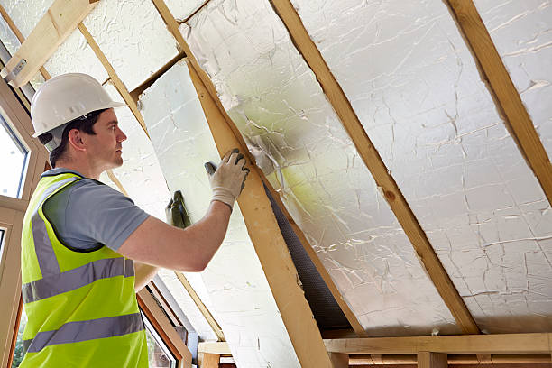 Best Cellulose Insulation in Ashland, NE